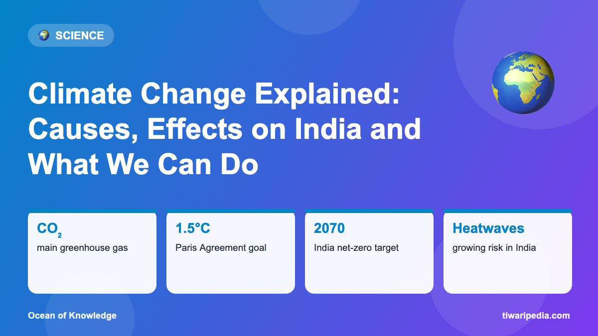 Infographic: Climate Change Explained: Causes, Effects on India and What We Can Do