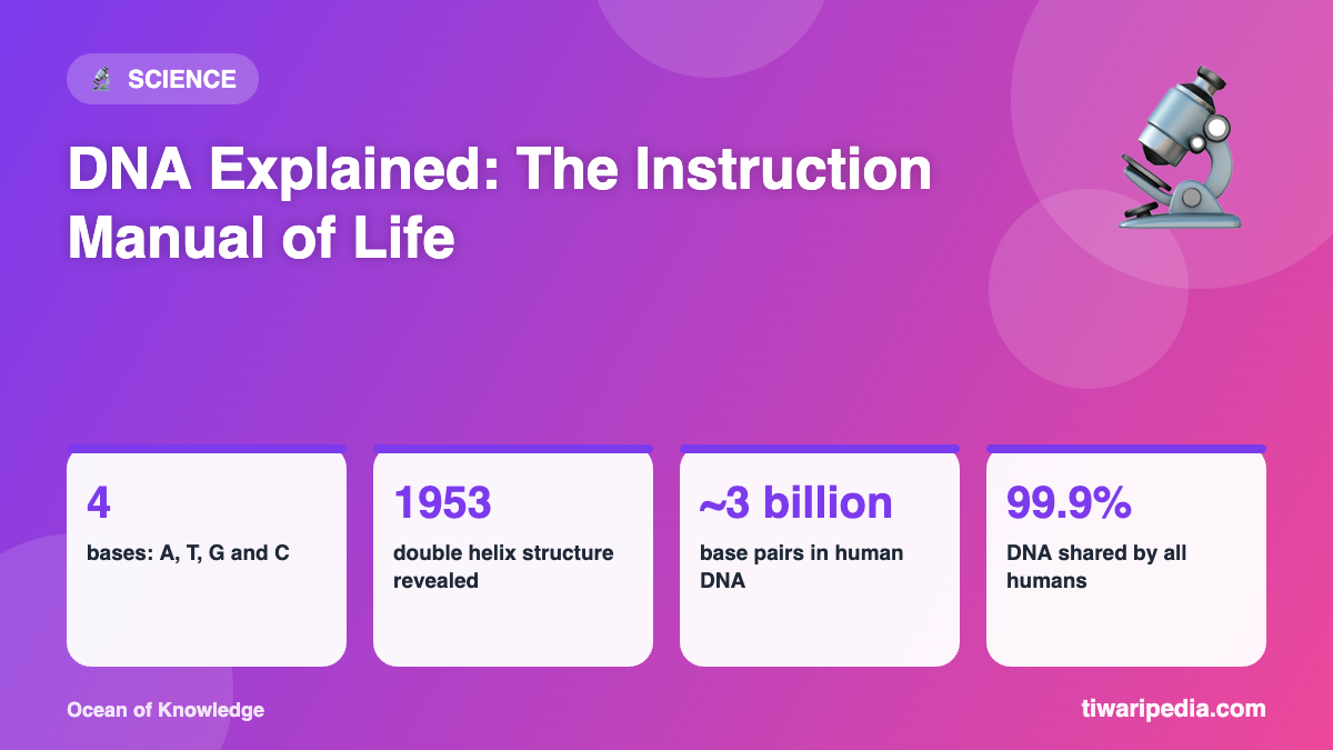 Infographic: DNA Explained: The Instruction Manual of Life