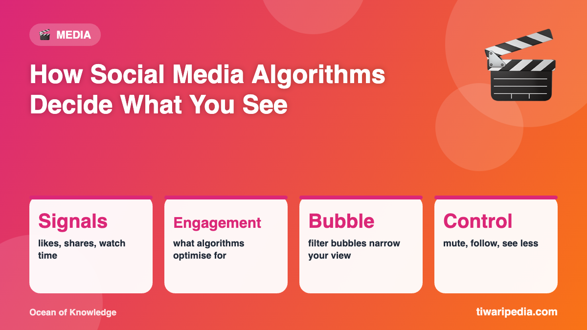 Infographic: How Social Media Algorithms Decide What You See
