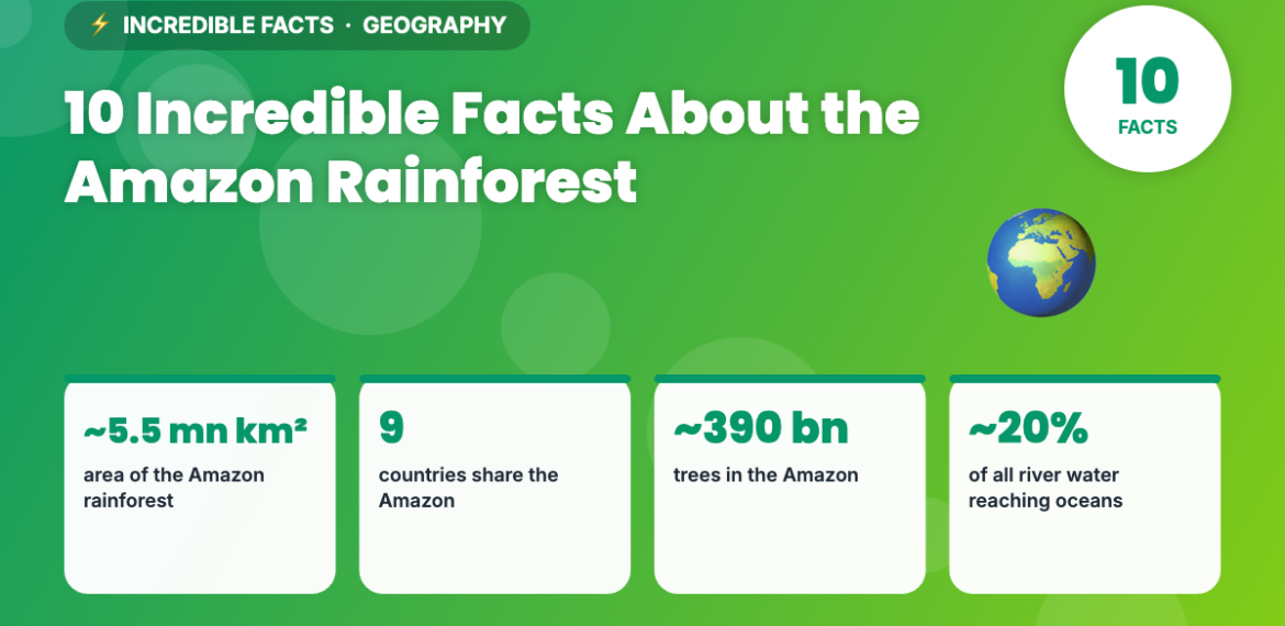 Infographic: 10 Incredible Facts About the Amazon Rainforest