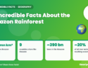 Infographic: 10 Incredible Facts About the Amazon Rainforest