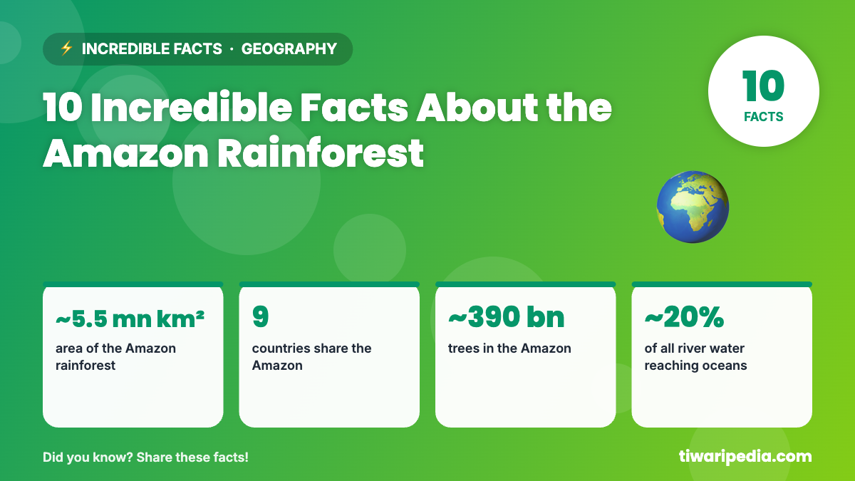 Infographic: 10 Incredible Facts About the Amazon Rainforest