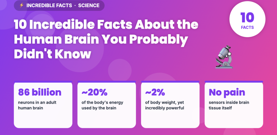 10 Incredible Facts About the Human Brain You Probably Didn’t Know