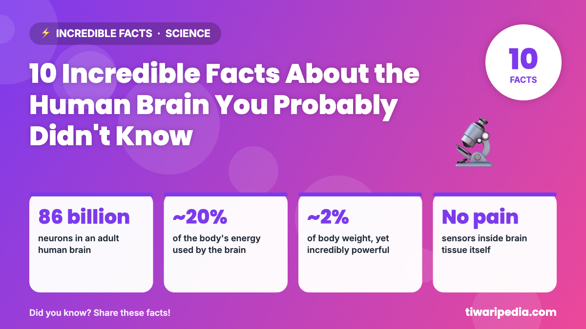 Infographic: 10 Incredible Facts About the Human Brain You Probably Didn't Know