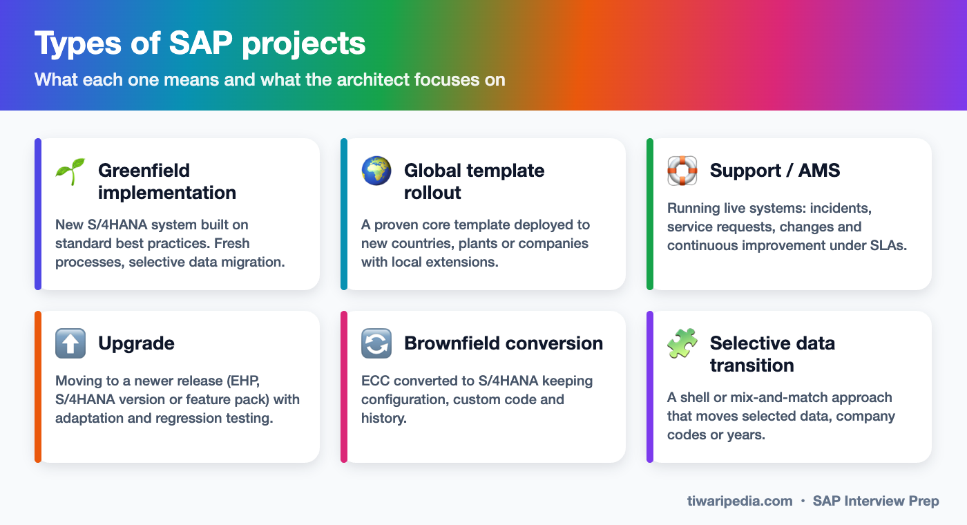 Types of SAP projects infographic