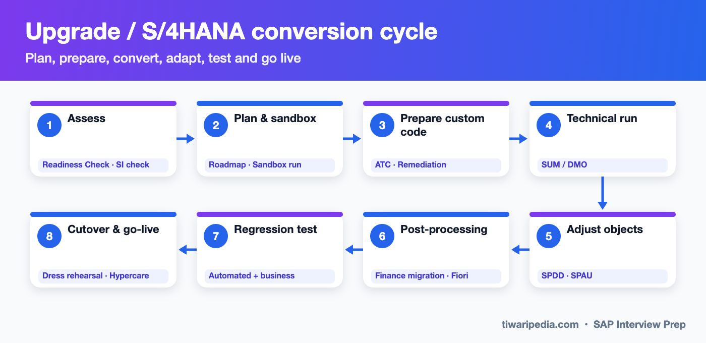 SAP upgrade and S/4HANA conversion cycle infographic