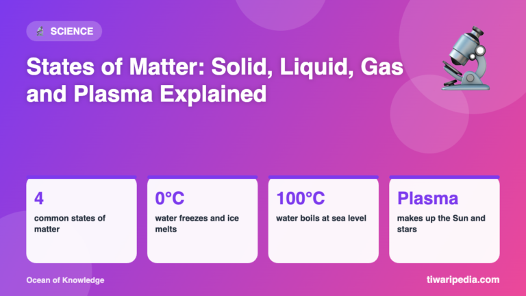 Infographic: States of Matter: Solid, Liquid, Gas and Plasma Explained