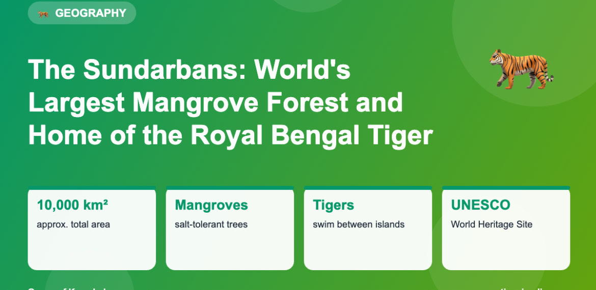 Infographic: The Sundarbans: World's Largest Mangrove Forest and Home of the Royal Bengal Tiger