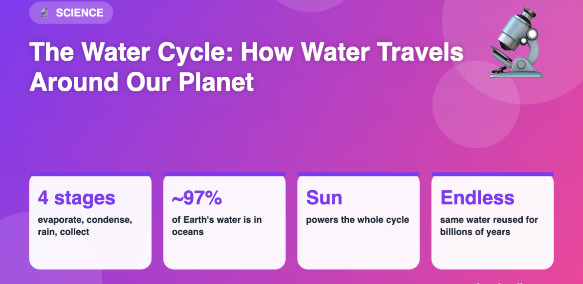 Infographic: The Water Cycle: How Water Travels Around Our Planet