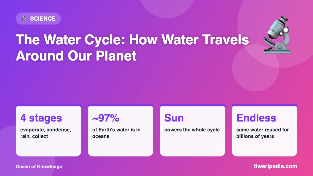 Infographic: The Water Cycle: How Water Travels Around Our Planet